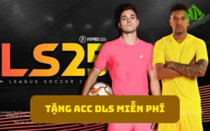 Tặng Acc DLS miễn phí